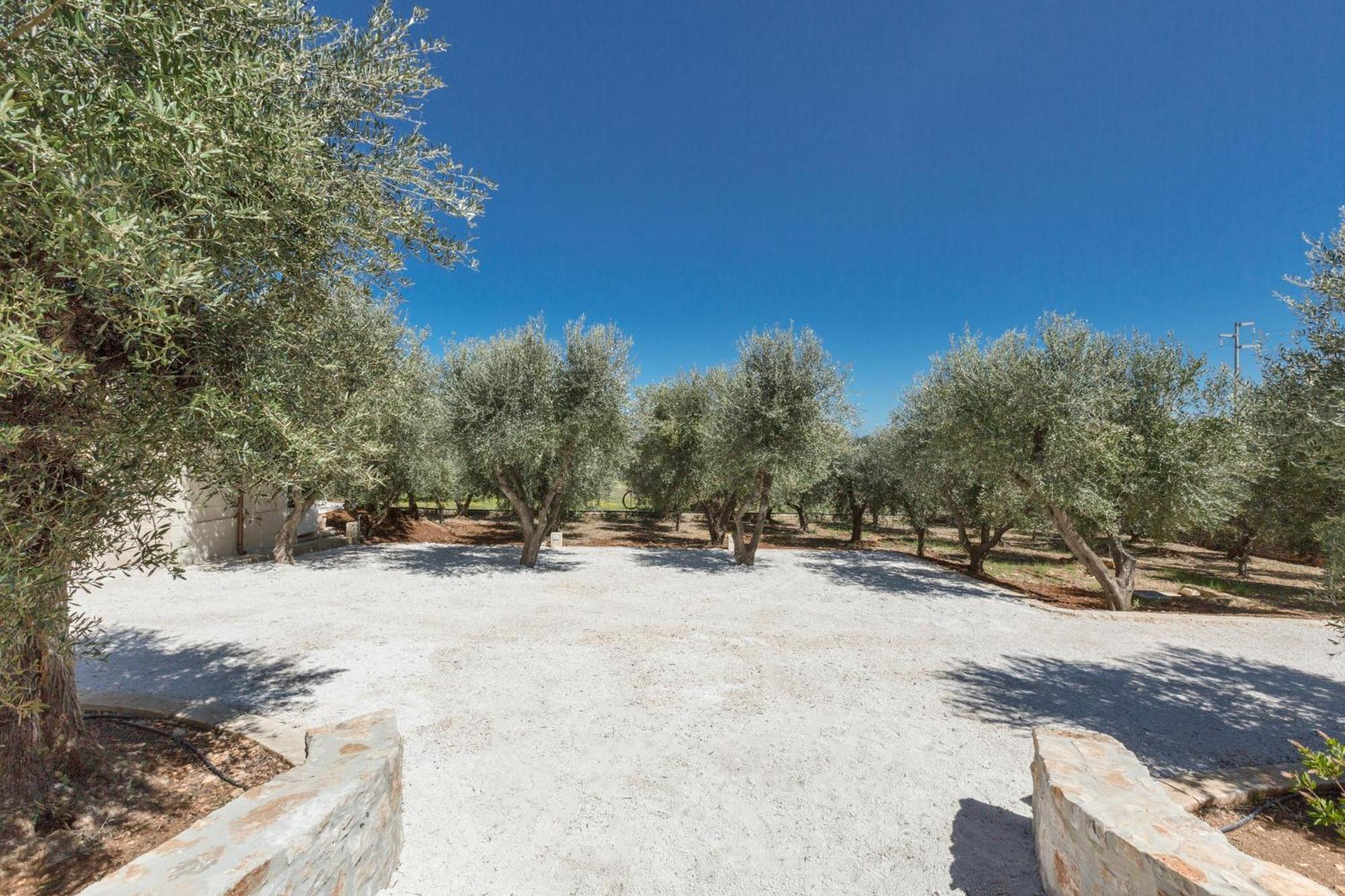 Trulli Ulivo Di Puglia By Barbarhouse Villa Selva Di Fasano Exterior photo